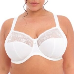 Elomi "Morgan" Stretch Banded Bra - 48DD US